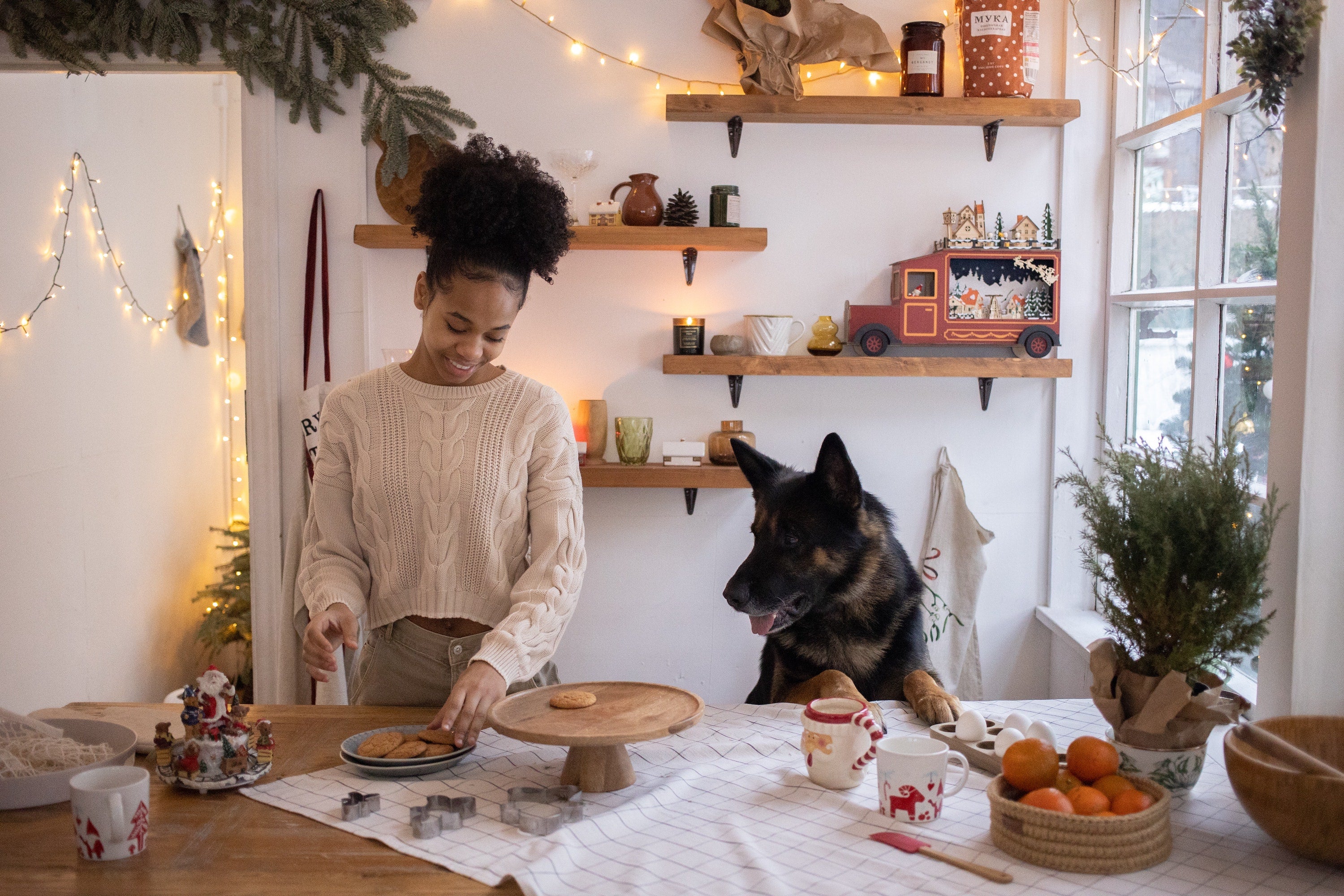 Healthy Homemade Dog Food Recipes for a Happier Pup